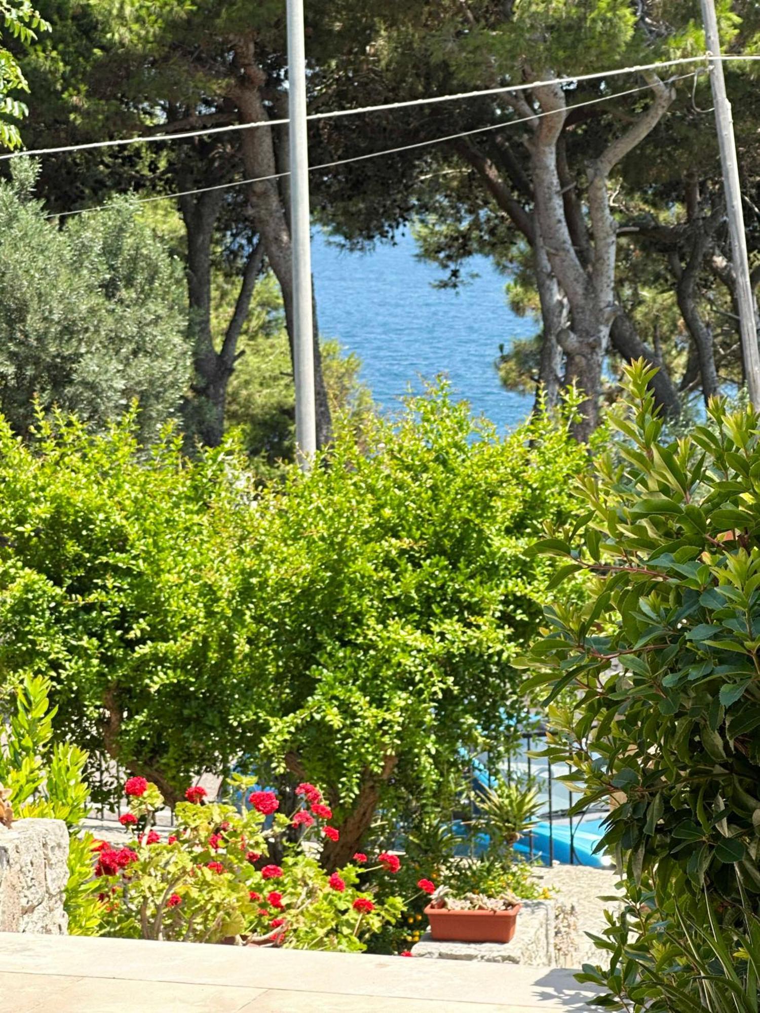 Villetta Dagre Fronte Mare Marittima Exterior foto